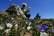 54 Crocus con scilla bifolia